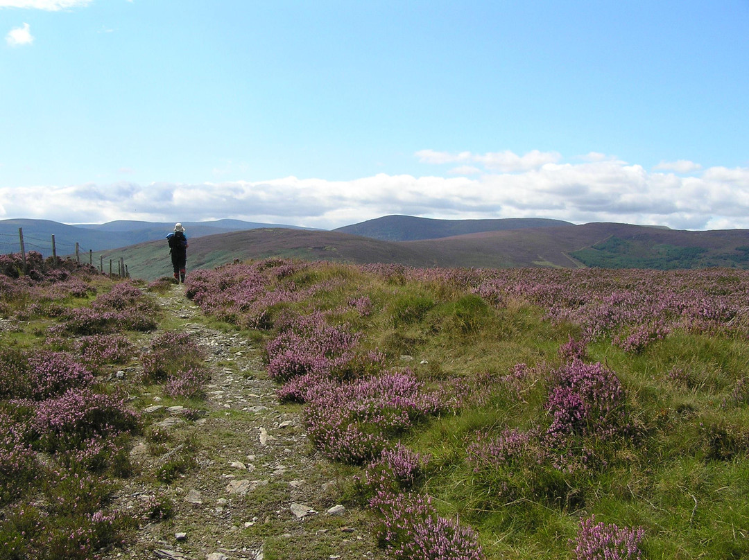 Wicklow Scenic Walks-Wicklow必去景点