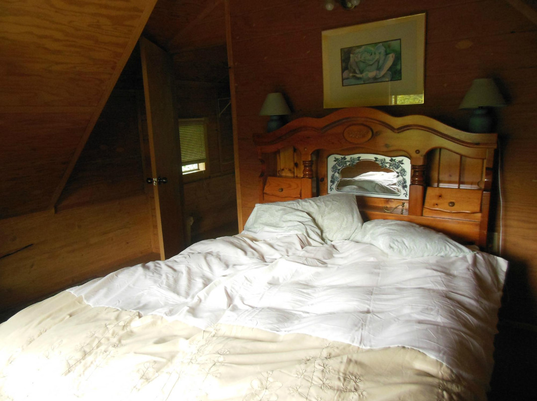 Arctic Sun Lodging主图