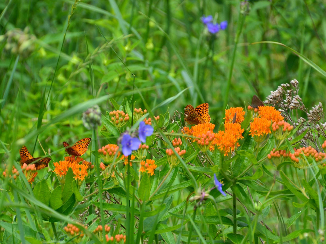 Aldo Leopold Foundation-巴拉布必去景点