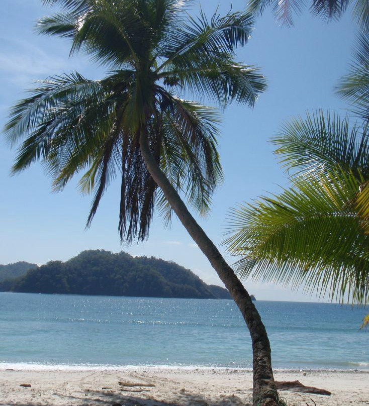 Bahia Rica Adventures景点图片