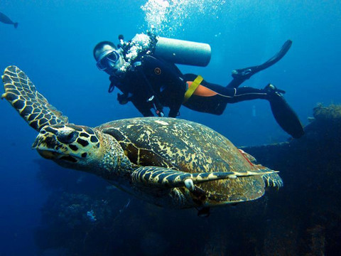 Diving Indo-沙努尔必去景点
