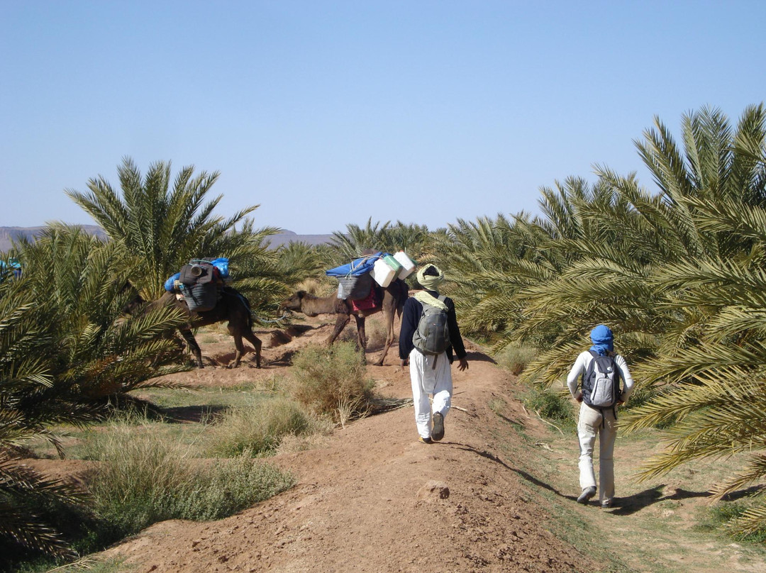Caravane Tidri-扎古拉必去景点