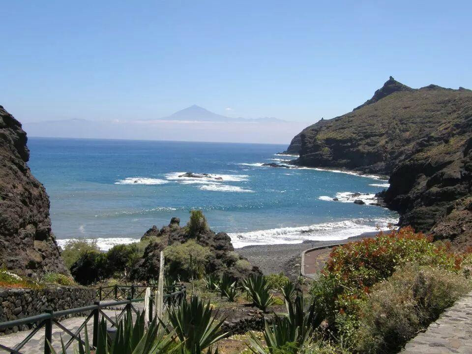 Playa La Caleta景点图片