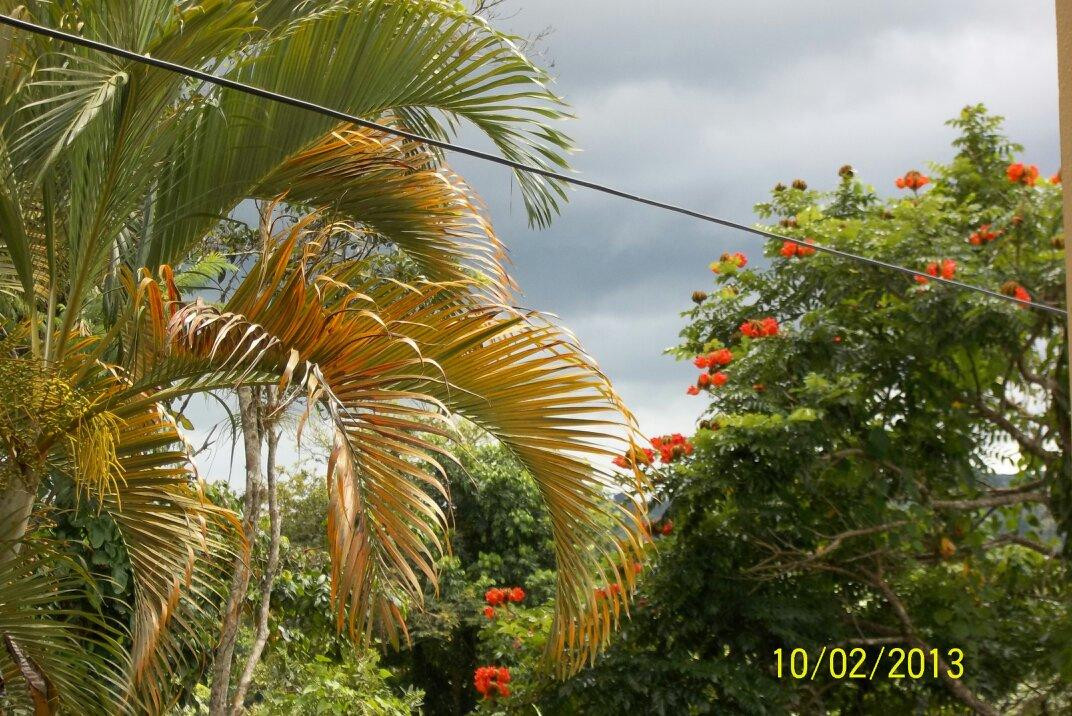 Utuado旅游攻略图片