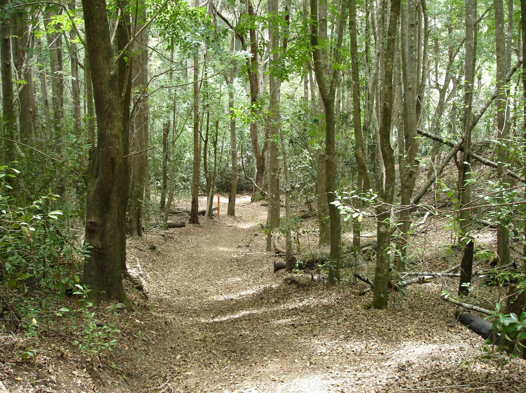 柯洛伊奇山岭健行活动-拉奈市必去景点