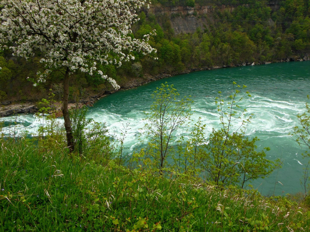 Whirlpool State Park-尼亚加拉大瀑布必去景点