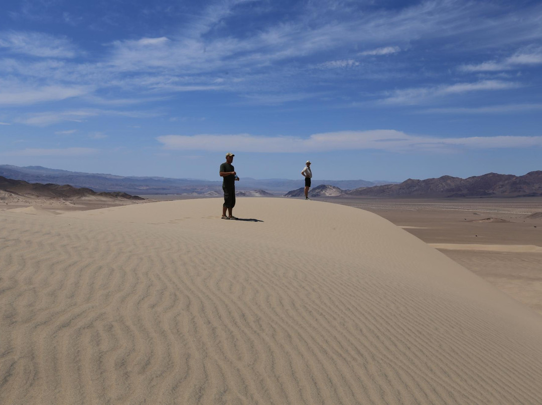 Dumont Dunes OHV Park景点图片