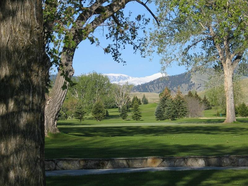 Buffalo Golf Club景点图片