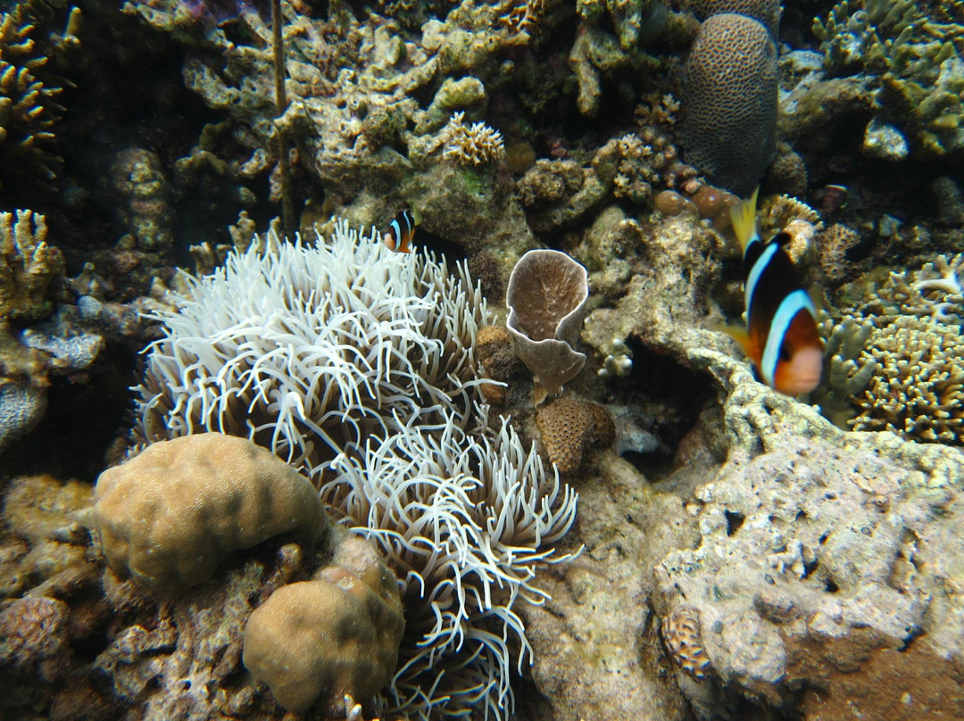 孟赞干岛-佩母德兰必去景点