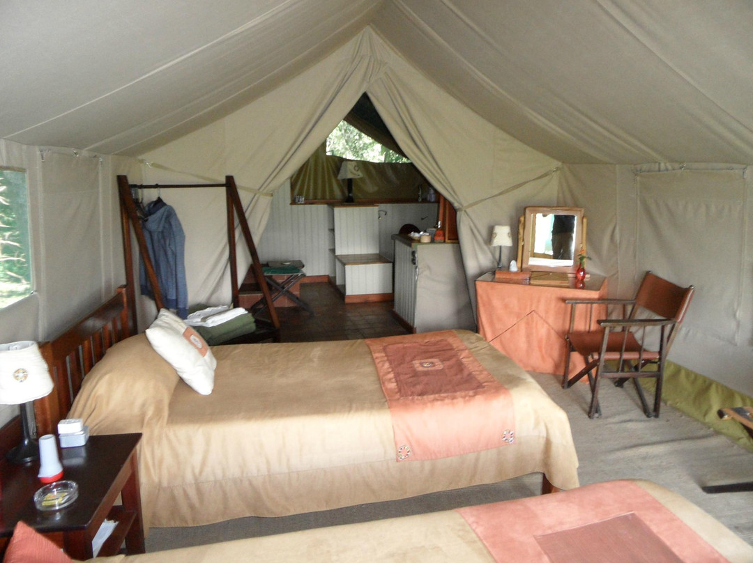 Kingi Safaris - Private Day Tours景点图片