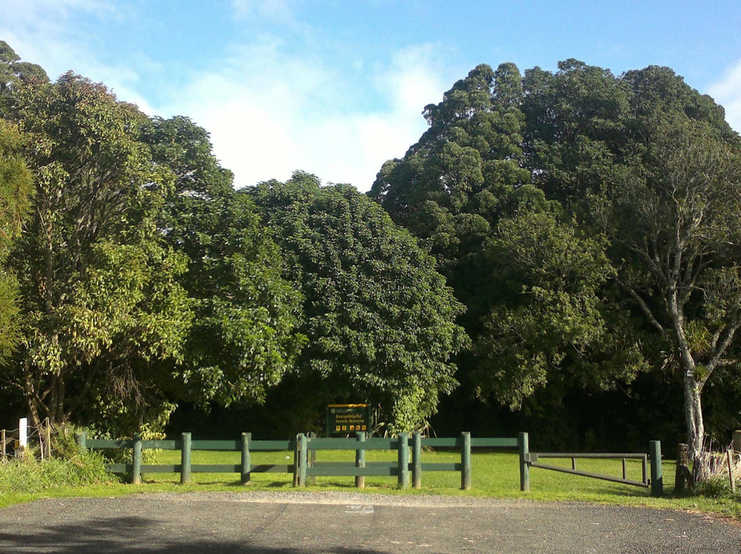 Ratapihipihi Scenic Reserve Walk