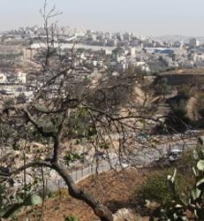 St. Nicolas Hotel主图