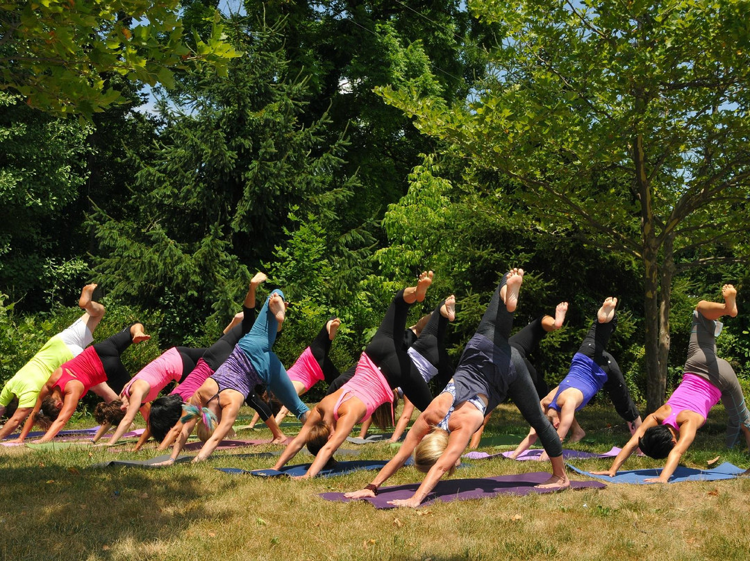 PAI Yoga & Fitness-都柏林必去景点