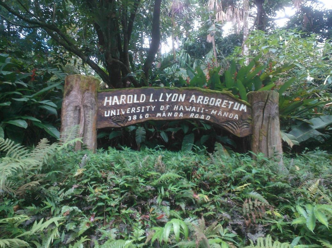 哈罗德树木园-火奴鲁鲁必去景点