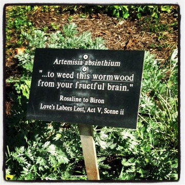 洛杉矶县立植物园-阿卡迪亚必去景点