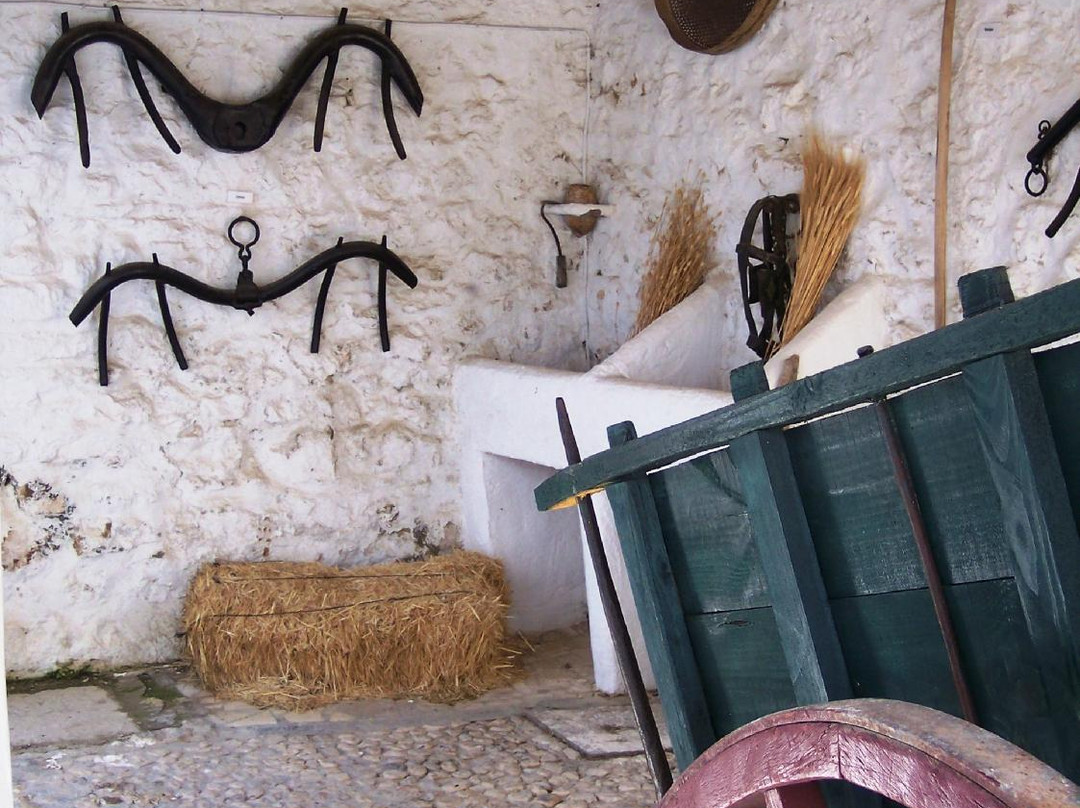 Museo de Costumbres y Artes Populares Juan Fernández Cruz景点图片
