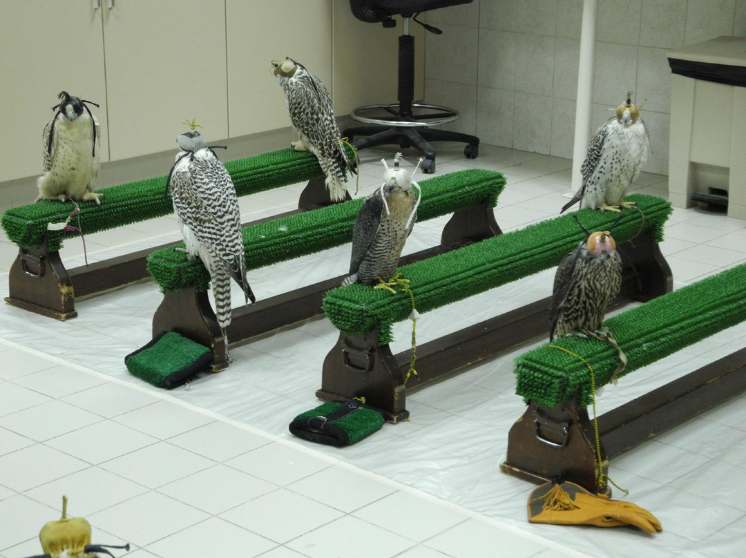 猎鹰医院-阿布扎比必去景点