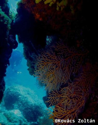 Blue Bay Diving Center景点图片