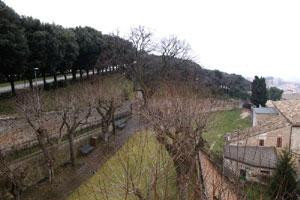 Via del Teatro Antico-费尔莫必去景点