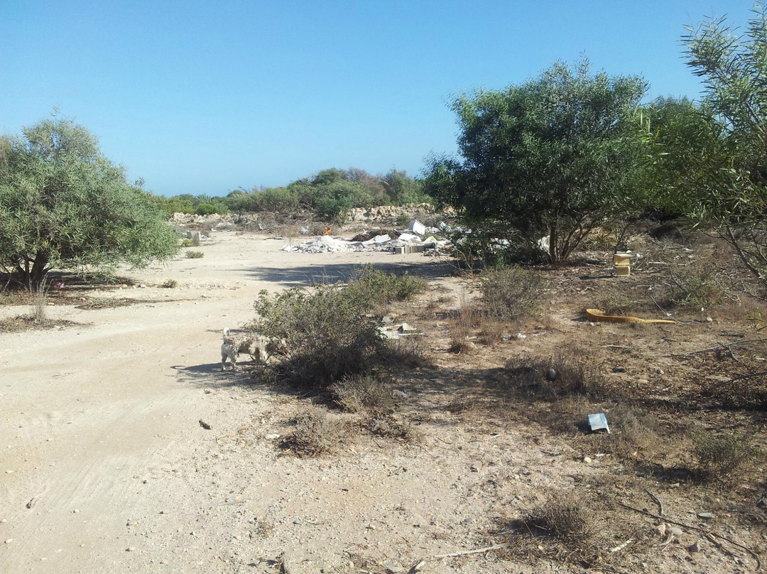 Parque Natural Punta Entinas-滨海罗克塔斯必去景点