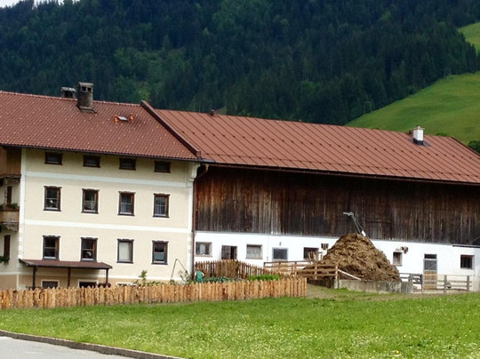 Hartlhof - Urlaub Am Bauernhof主图