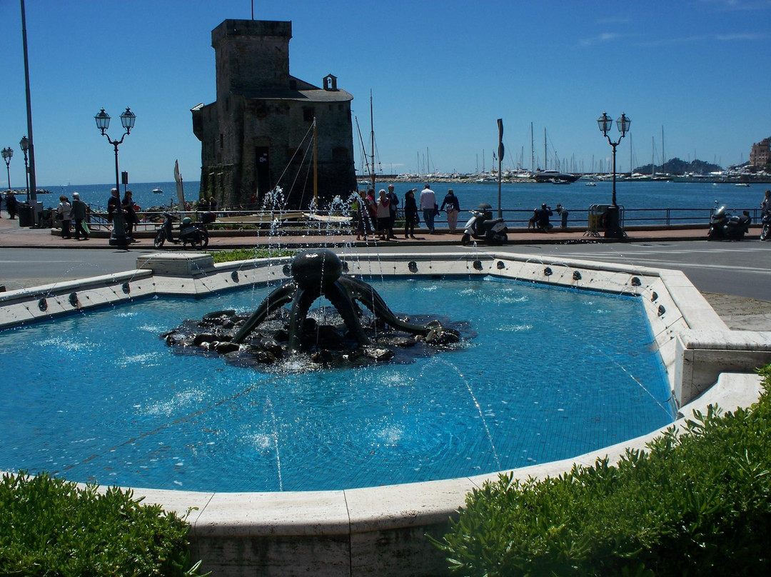 Fontana del Polipo景点图片