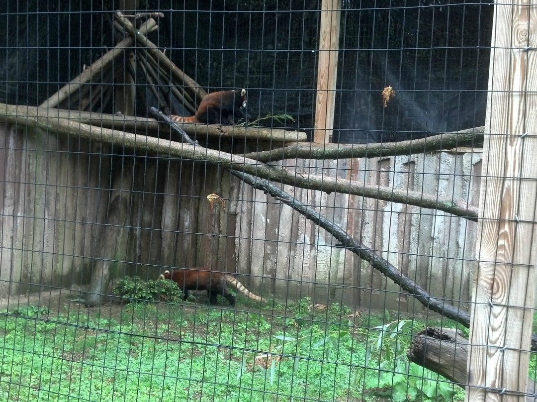 Ross Park Zoo景点图片