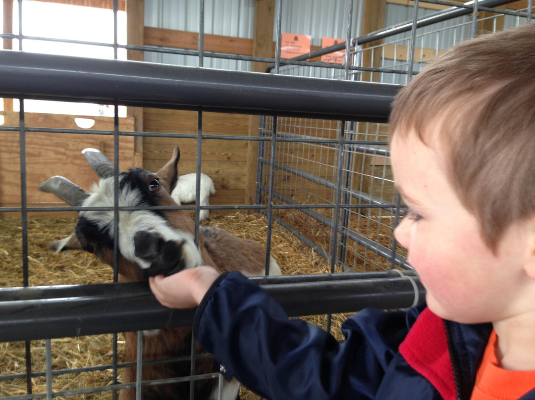 Busy Barns Adventure Farm-Fort Atkinson必去景点