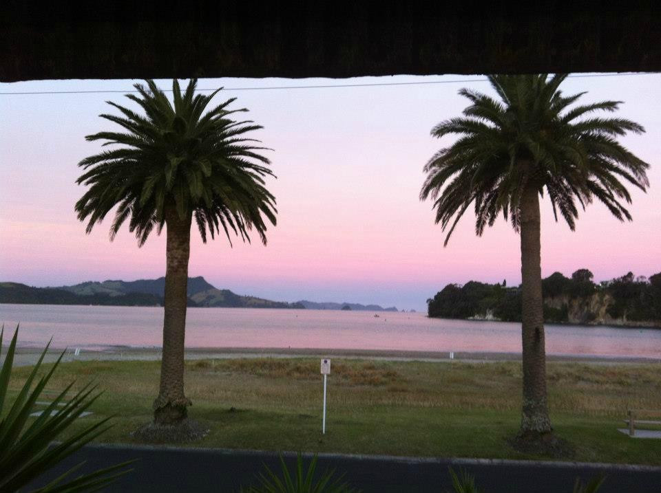 库克海滩酒店住宿-Nana Glads Beachfront Accommodation