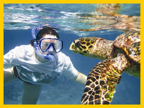 Z Tourz-可洛亚必去景点