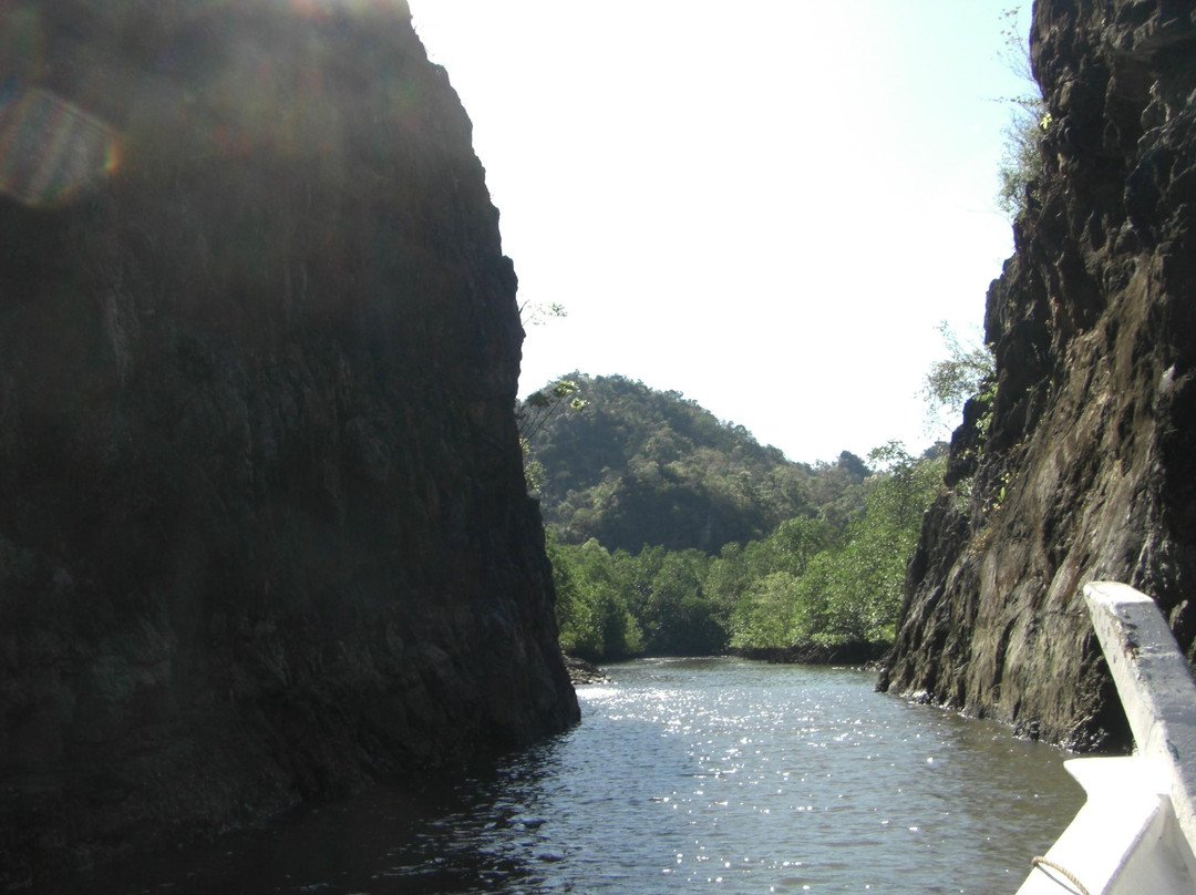 Natasha's Mangrove Nature Tour-兰卡威必去景点