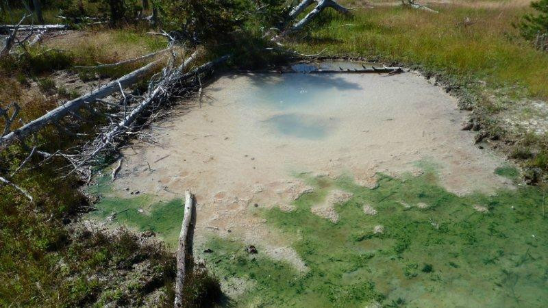 Firehole River-黄石国家公园必去景点