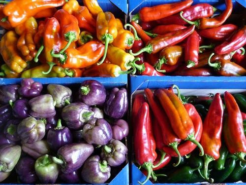 Fernandina Farmer's Market-费尔南迪纳岛必去景点