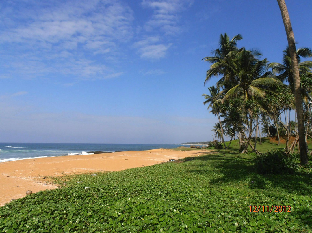 Elite Tours Sri Lanka-Pitiwella必去景点