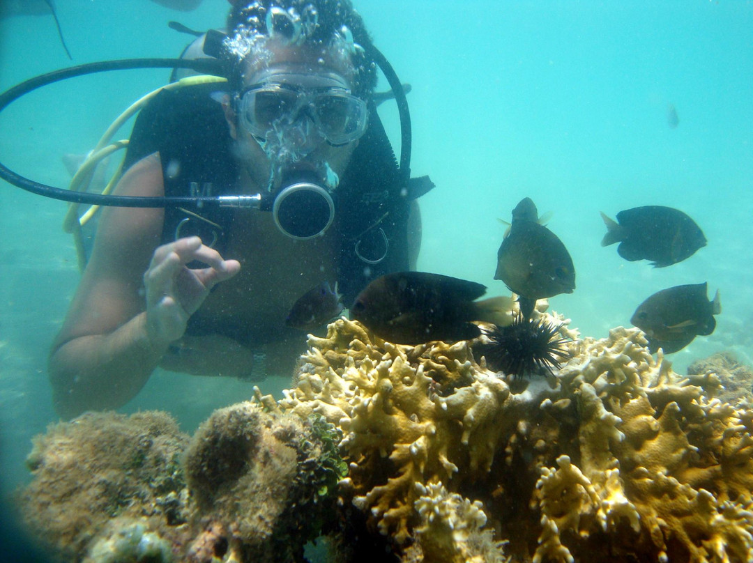 Maragogi Beach-Maragogi必去景点