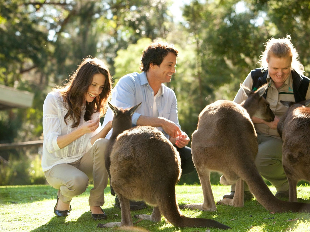 希尔斯维尔保护区-希尔斯维尔必去景点