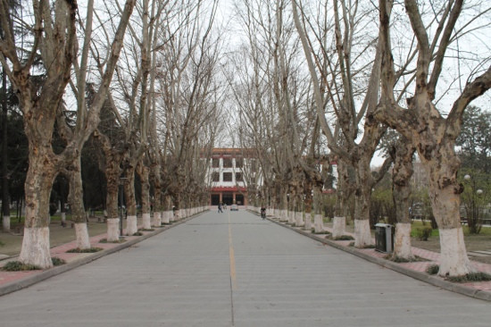四川大学-成都必去景点