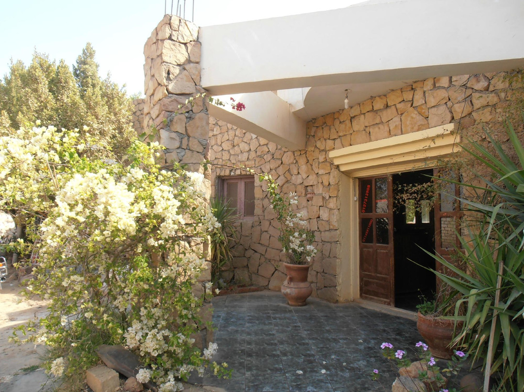 Desert Safari Home