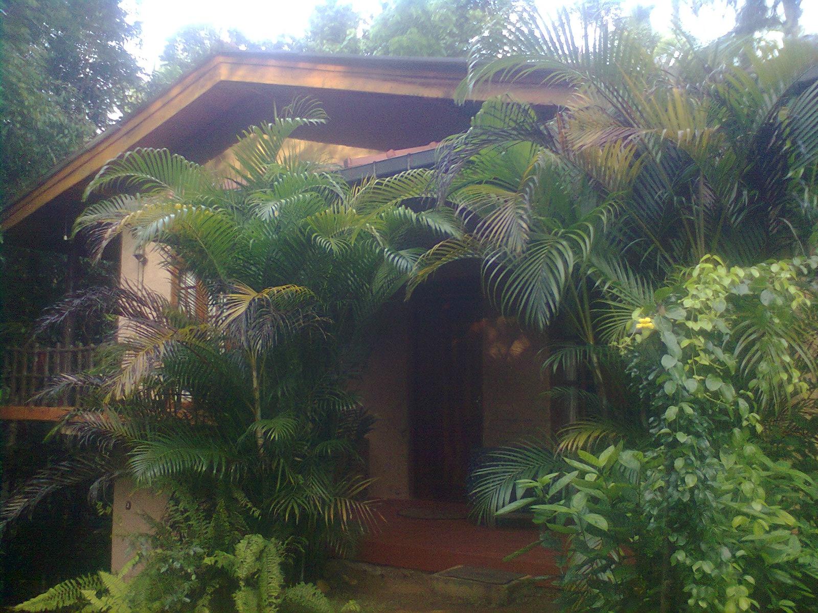 Kanneliya Forest Resort-客卧