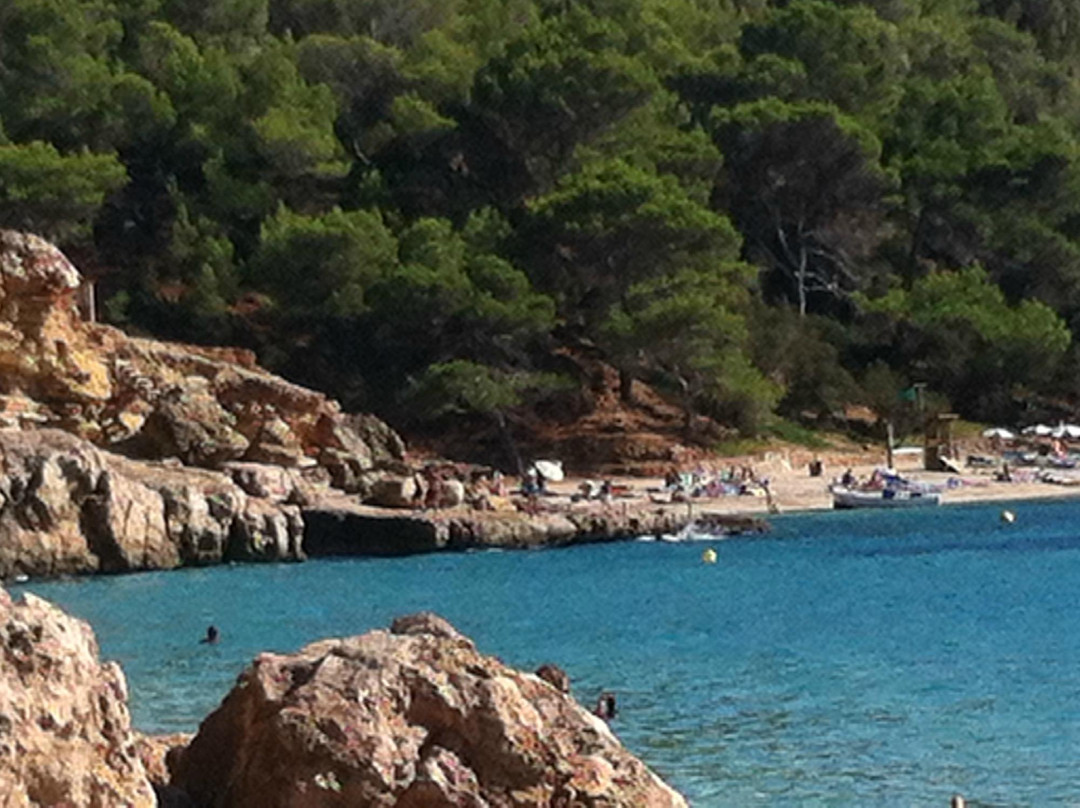 Playa Cala Salada景点图片