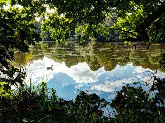 Nostell Priory and Parkland景点图片