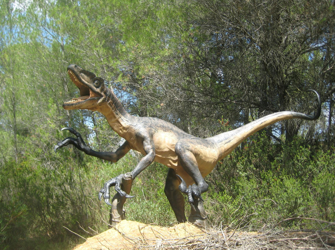 Musee - Parc des Dinosaures景点图片