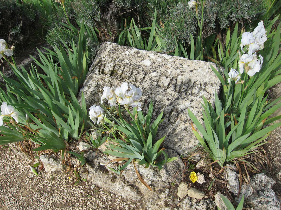 Albert Camus Grave景点图片