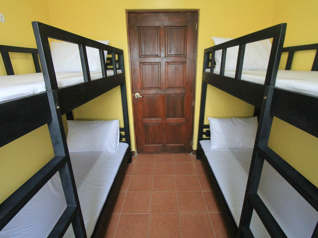 D-Zone Backpackers Inn