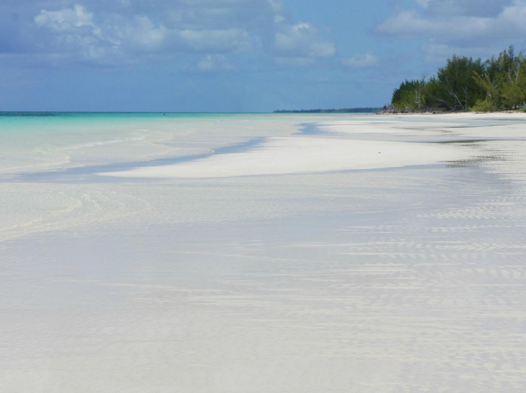 Bahamas Interisland Ecotours - Day Tours景点图片