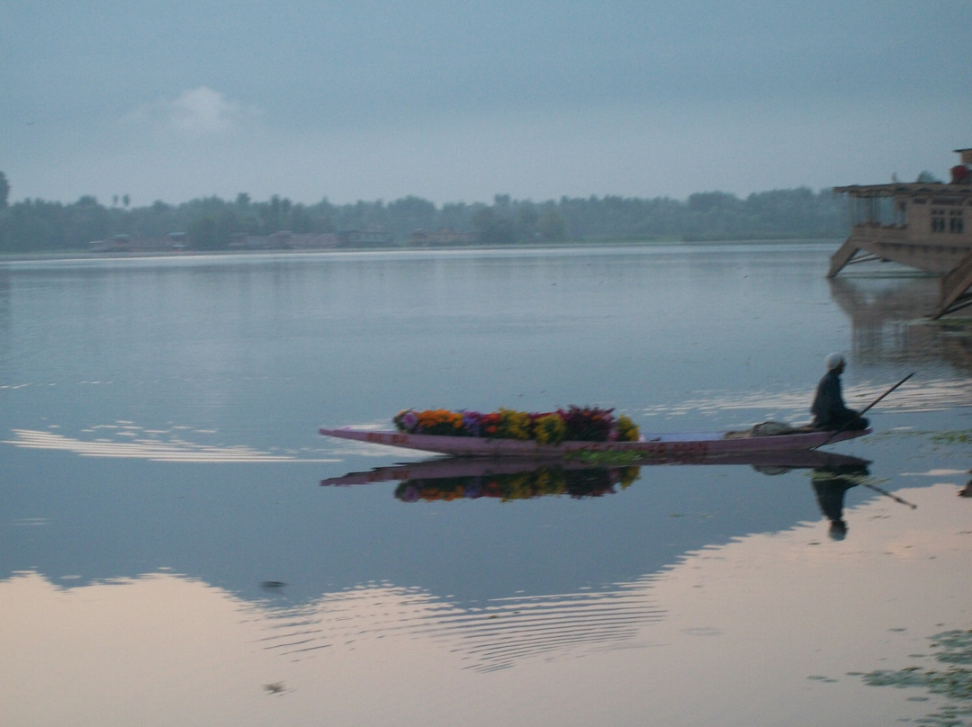 Nigeen Lake-斯利那加必去景点