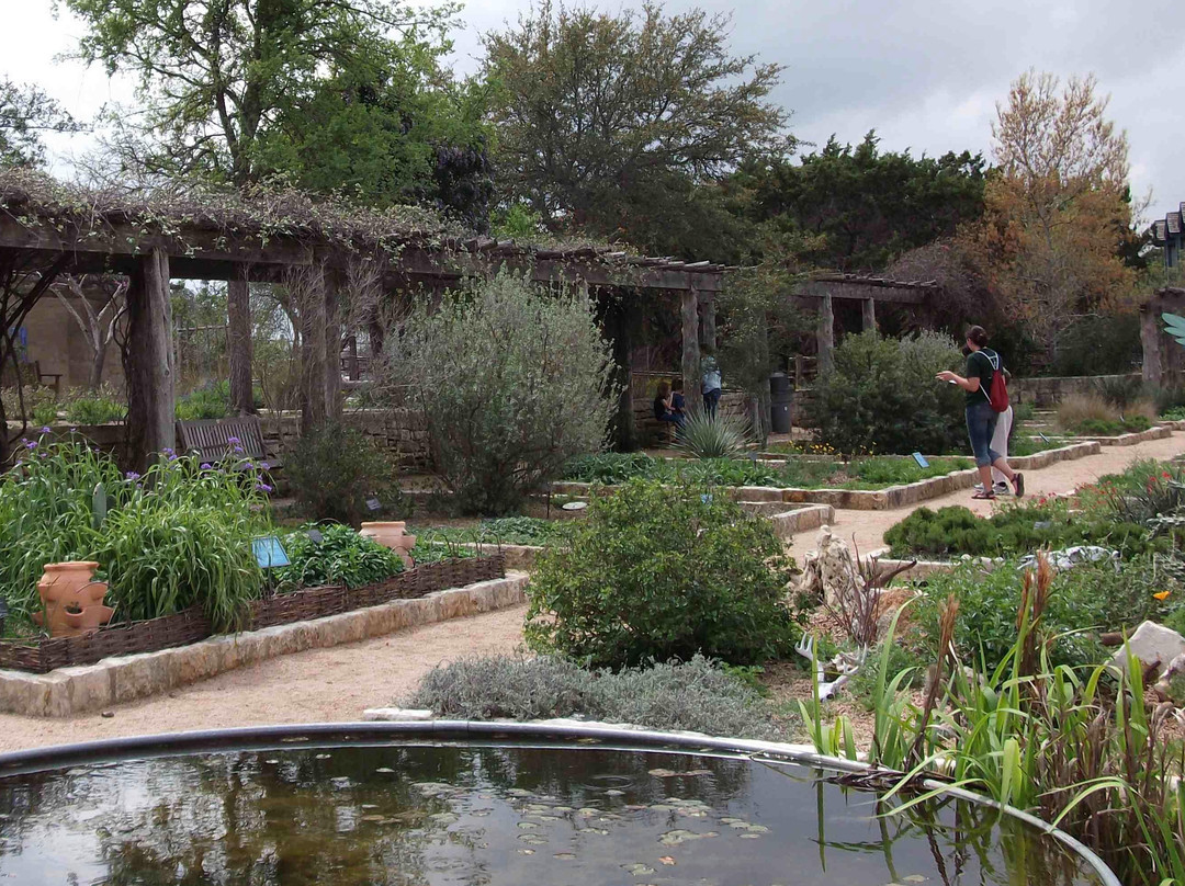 伯德约翰逊夫人野花中心-奥斯丁必去景点