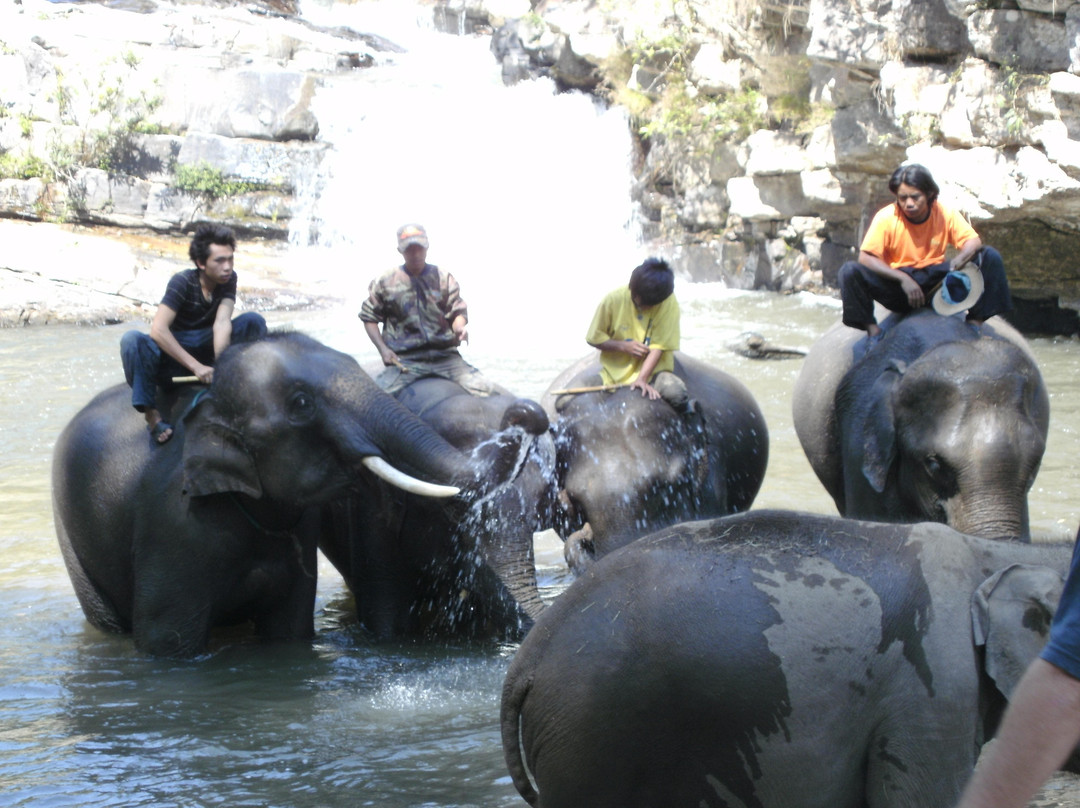 Elephant Special Tours-清迈府必去景点