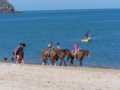 Playa Bonita Condo Suites主图