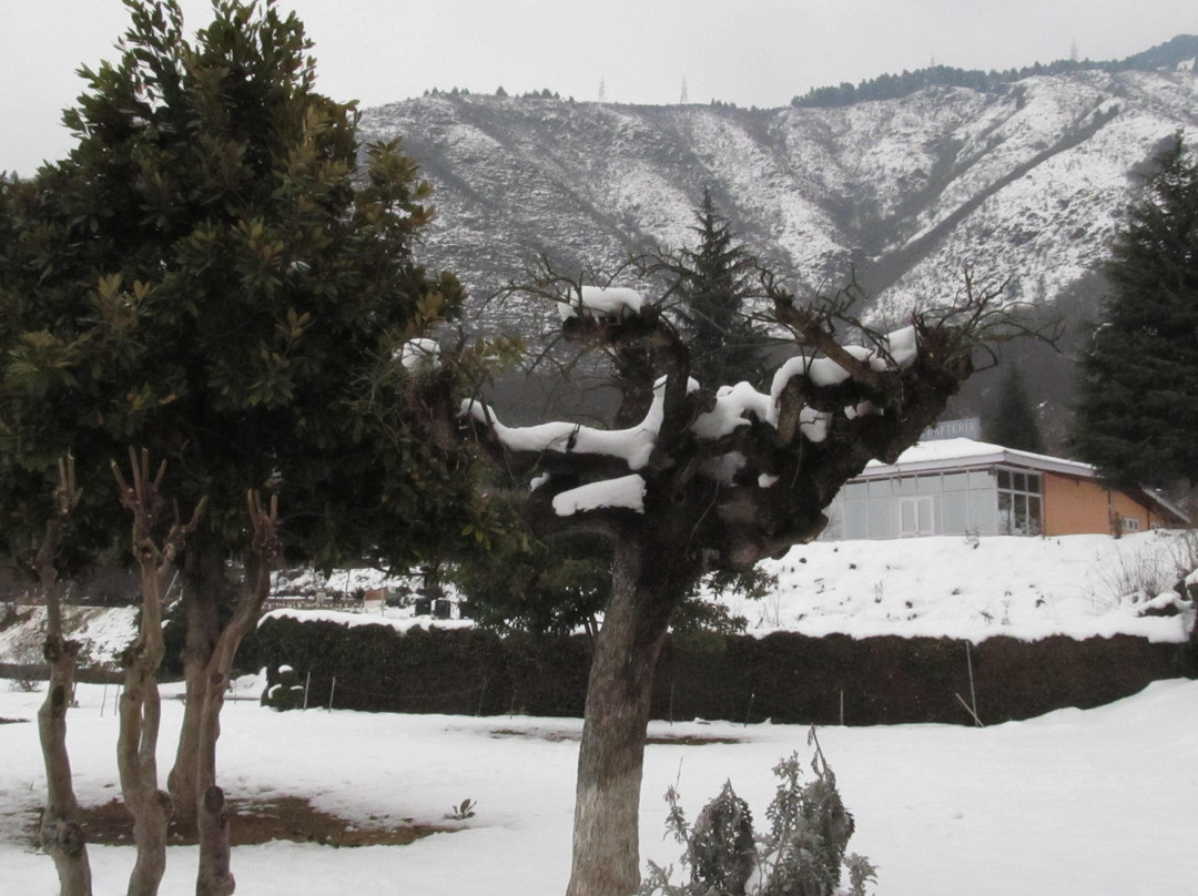 Mughal Gardens-斯利那加必去景点
